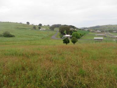 Residential Block For Sale - NSW - Gundagai - 2722 - Large vacant block in town  (Image 2)