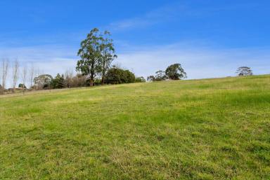 Residential Block For Sale - VIC - Drouin - 3818 - Rare Size Over Half Acre Block!  (Image 2)