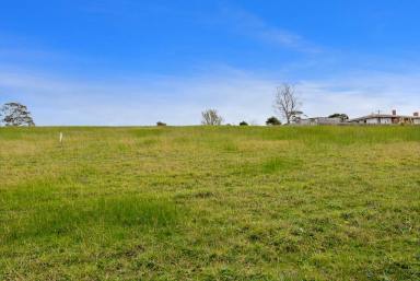 Residential Block For Sale - VIC - Drouin - 3818 - Rare  Half Acre Block!  (Image 2)