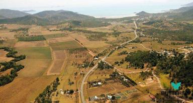 House For Sale - QLD - Cannon Valley - 4800 - Adjacent to the NEW proposed PRIVATE HOSPITAL SITE!!!! #EMERGINGPRECINCT  (Image 2)