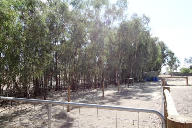 Residential Block For Sale - NSW - Tocumwal - 2714 - Perfect Block for the New Home  (Image 2)