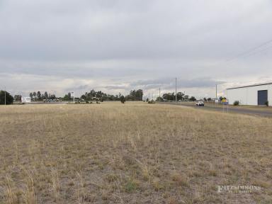Industrial/Warehouse For Sale - QLD - Dalby - 4405 - NEW INDUSTRIAL SUBDIVISION - FRONT WARREGO HIGHWAY ON WESTERN SIDE OF TOWN  (Image 2)