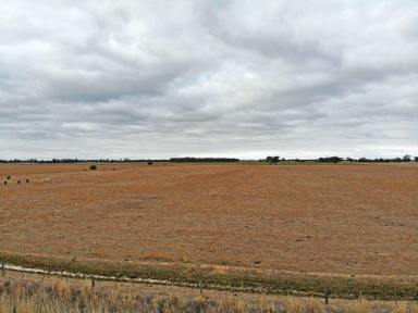 Other (Rural) For Sale - VIC - Timmering - 3561 - Lot 2 Sly Road, Tongala  (Image 2)