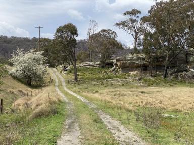 Acreage/Semi-rural For Sale - NSW - Lidsdale - 2790 - Investment Potential.  (Image 2)