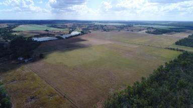 Horticulture For Sale - QLD - South Isis - 4660 - ABUNDANCE OF WATER WITH GOOD SOIL  (Image 2)