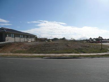 Residential Block For Sale - QLD - Bowen - 4805 - VACANT LAND - Owners need to Sell!  (Image 2)