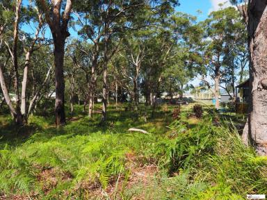 Residential Block For Sale - NSW - Fishermans Reach - 2441 - Unbeatable Coastal Lifestyle  (Image 2)