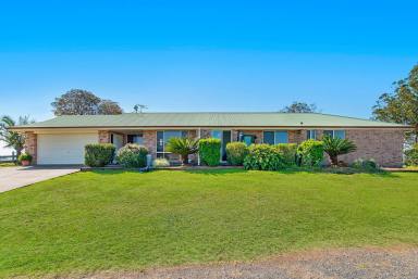 Lifestyle Auction - NSW - Pola Creek - 2440 - Perfect for Horse Lovers and Hobby Farmers  (Image 2)