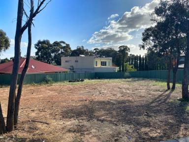 Residential Block For Sale - VIC - Strathdale - 3550 - STRATHDALE  (Image 2)