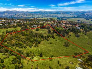 House For Sale - NSW - Lismore Heights - 2480 - Rare Opportunity To Own A Rural Property In Lismore Heights  (Image 2)