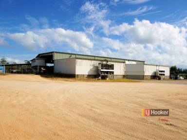 Commercial Farming For Sale - QLD - Munro Plains - 4854 - COMMERCIAL INVESTMENT OPPORTUNITY  (Image 2)