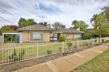 House For Sale - VIC - Mildura - 3500 - FAMILY HOME OR RENTAL INVESTMENT – FANTASTIC LOCATION  (Image 2)