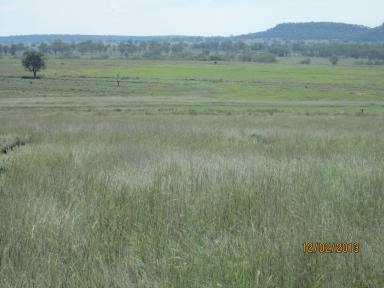 Other (Rural) For Sale - NSW - Warialda - 2402 - GRAZING PROPERTY  (Image 2)