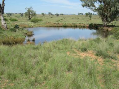 Other (Rural) For Sale - NSW - Warialda - 2402 - GRAZING PROPERTY  (Image 2)