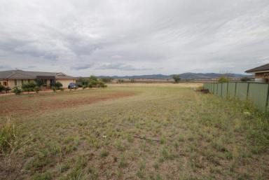 Residential Block For Sale - NSW - Quirindi - 2343 - FANTASTIC VIEWS  (Image 2)