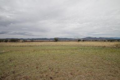 Residential Block For Sale - NSW - Quirindi - 2343 - FANTASTIC VIEWS  (Image 2)