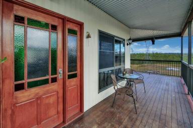Acreage/Semi-rural For Sale - QLD - Good Night - 4671 - Let Kids Grow Up Being Kids - Out In Fresh Outdoors  (Image 2)
