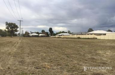 Residential Block For Sale - QLD - Dalby - 4405 - LARGE ALLOTMENT IN TOWN  (Image 2)