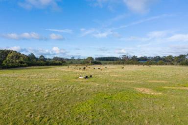 Mixed Farming For Sale - VIC - Naringal East - 3277 - SERENITY - SECLUSION - TRANQUILITY  (Image 2)