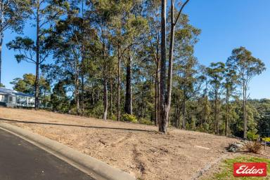 Residential Block For Sale - NSW - Malua Bay - 2536 - Wanting to Build - Look At This  (Image 2)