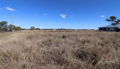 Residential Block For Sale - QLD - Dalby - 4405 - BUILD YOUR DREAM HOME - 1 ACRE  (Image 2)