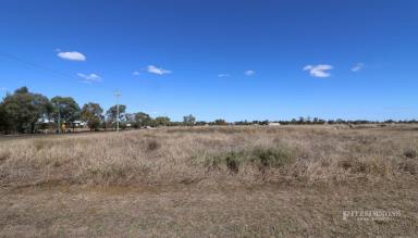 Residential Block For Sale - QLD - Dalby - 4405 - BUILD YOUR DREAM HOME - 1 ACRE  (Image 2)