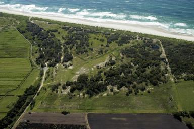 Residential Block For Sale - NSW - Broadwater - 2472 - Vacant Beachfront Acreage  (Image 2)