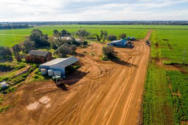 Cropping For Sale - NSW - Carrathool - 2711 - Turnkey Irrigation Farm Ready To Fire  (Image 2)