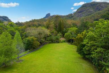 Residential Block For Sale - NSW - Mount Warning - 2484 - A stunning, sprawling block deep in glorious rainforest of the Northern Rivers  (Image 2)