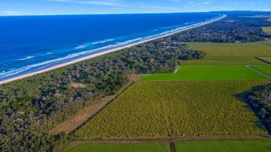 Residential Block For Sale - NSW - Patchs Beach - 2478 - Prime Position Prime Farmland - 105 Acres (approx) close to Patch's Beach  (Image 2)