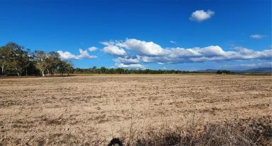 Mixed Farming For Sale - QLD - Mutchilba - 4872 - OWNER COMMITTED ELSEWHERE -  WILL LOOK AT REASONABLE OFFERS  (Image 2)