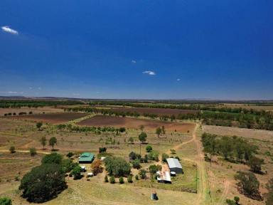 Mixed Farming For Sale - QLD - Goovigen - 4702 - Callide Valley Grazing, Cropping and Hay Production  (Image 2)