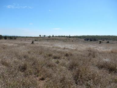 Mixed Farming For Sale - QLD - Goovigen - 4702 - Callide Valley Grazing, Cropping and Hay Production  (Image 2)