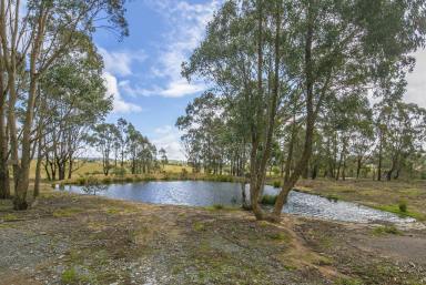 Lifestyle For Sale - NSW - Goulburn - 2580 - LIFESTYLE AND LOCATION  (Image 2)