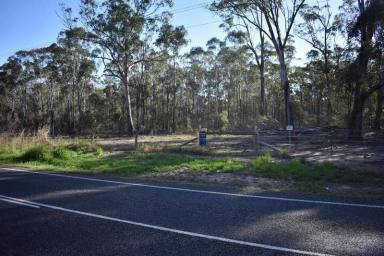 Residential Block For Sale - QLD - Yandaran - 4673 - CATTLE PROPERTY – 350 ACRES – 25 MINUTES TO BUNDABERG  (Image 2)