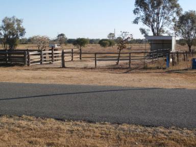 Other (Rural) Sold - QLD - Depot Hill - 4700 - Vacant Land  (Image 2)