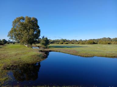 Lifestyle For Sale - WA - Keysbrook - 6126 - Rural Lifestyle/Horse Property  (Image 2)