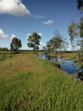 Lifestyle For Sale - WA - Keysbrook - 6126 - Rural Lifestyle/Horse Property  (Image 2)