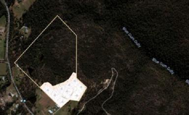 Acreage/Semi-rural For Sale - NSW - South Maroota - 2756 - Excellent Investment Acreage  (Image 2)