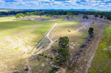 Livestock For Sale - QLD - Bucca - 4670 - CHARMING COUNTRY LIFESTYLE WITH SPECTACULAR VIEWS  (Image 2)