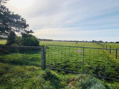 Livestock For Sale - VIC - Toora - 3962 - Productive property close to coast  (Image 2)