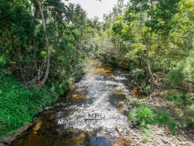 Lifestyle For Sale - QLD - Koah - 4881 - LIFESTYLE FARMING WITH RIVER FRONTAGE  (Image 2)