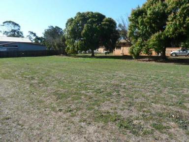 Residential Block For Sale - QLD - Kalkie - 4670 - Corner Block - Ready To Build On  (Image 2)