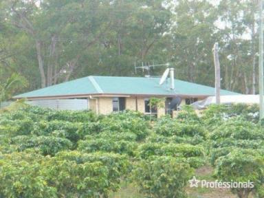 Horticulture For Sale - QLD - Bullyard - 4671 - INCOME PRODUCING TROPICAL FRUIT FARM WITH FOUR BEDROOM HOME  (Image 2)