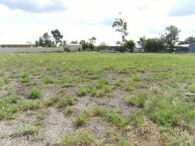 Residential Block For Sale - QLD - Dalby - 4405 - 3804 SQ M ALLOTMENT LOCATED AT WALLACE STREET - ZONED RESIDENTIAL  (Image 2)