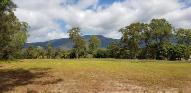 Residential Block Sold - QLD - Ellerbeck - 4816 - Mahogany Ridge Estate is where you can live out...  (Image 2)