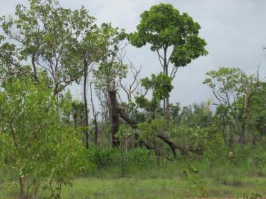 Residential Block For Sale - NT - Batchelor - 0845 - Loads of Opportunity in Eva Valley  (Image 2)