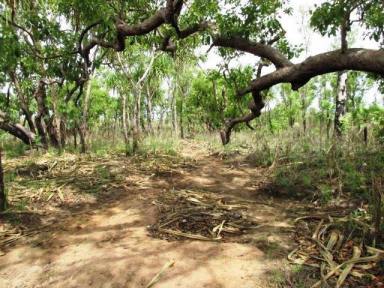 Residential Block For Sale - NT - Batchelor - 0845 - Loads of Opportunity in Eva Valley  (Image 2)