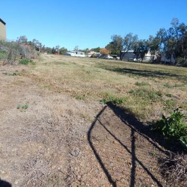Other (Commercial) For Sale - NSW - Moree - 2400 - EXCELLENT COMMERCIAL BLOCK  (Image 2)