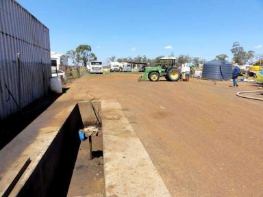 Industrial/Warehouse For Sale - QLD - Dalby - 4405 - RENOWNED LOUDOUN ROAD LOCATION - MARKETED BY FITZSIMMONS REAL ESTATE - 4662 5311  (Image 2)